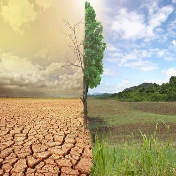 کاهش رابطه اقلیم وتولیدات کشاورزی