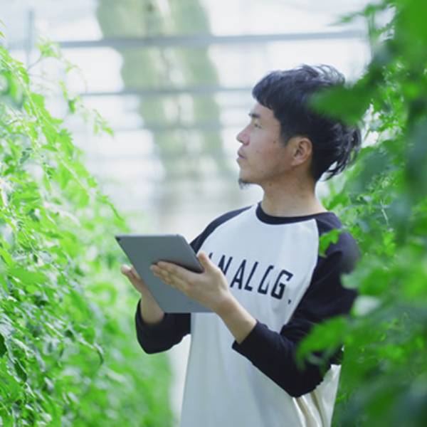 فناوری دیجیتال، کشاورزی پایدار