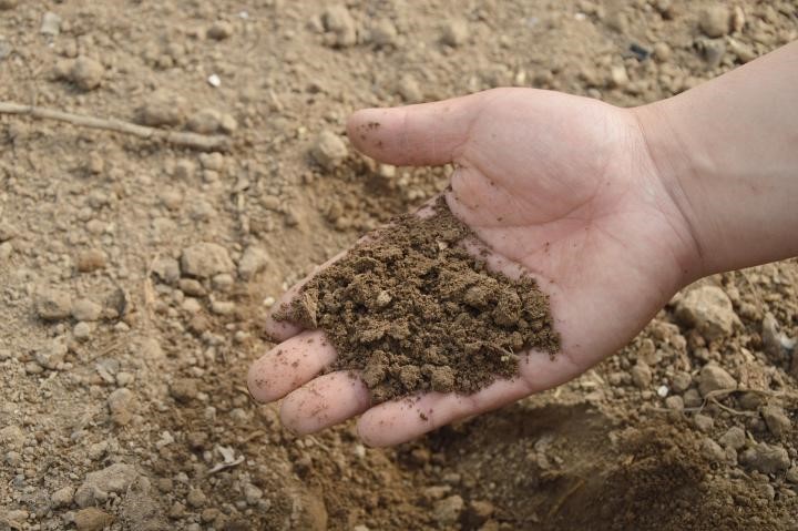اندازه گیری جریان الکتریکی خاک می تواند به حفظ سلامت خاک کمک کند